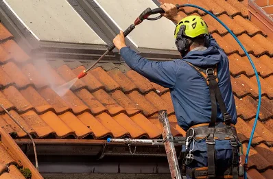 Démoussage et hydrofuge de toiture à Veslud